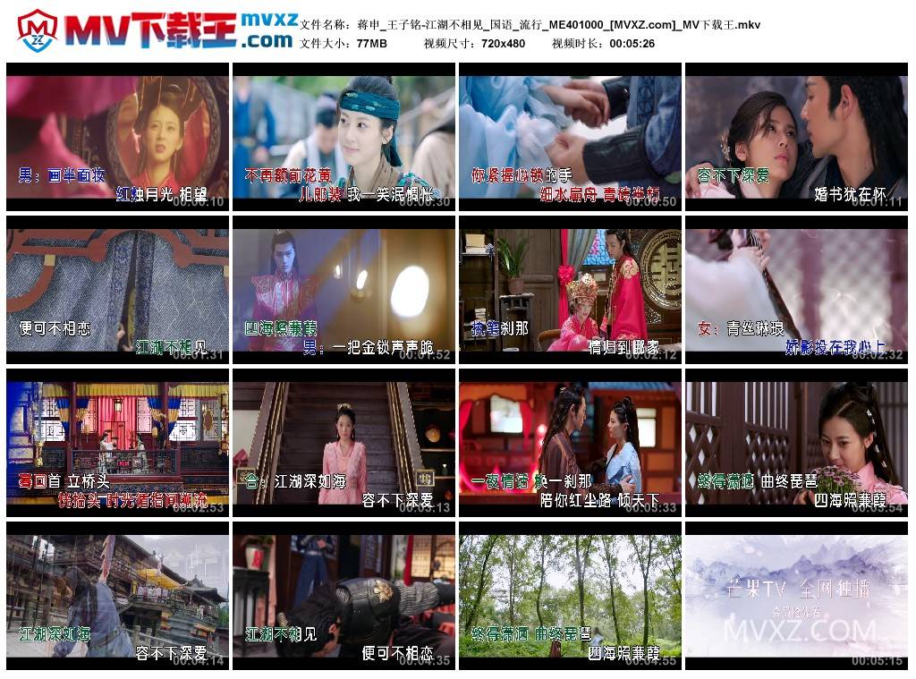 蒋申_王子铭-江湖不相见_国语_流行_ME401000